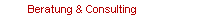 Beratung & Consulting